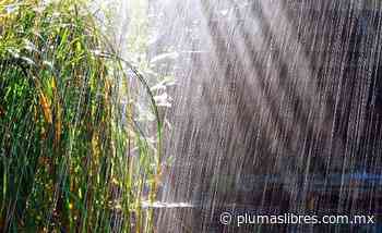 Tres poemas - plumas libres