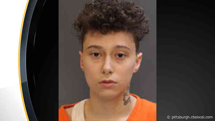 Woman Arrested, Facing Charges After Throwing Rocks At Vehicle During Fight