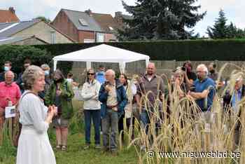 Bezoekers maken kennis met graanakkertjes