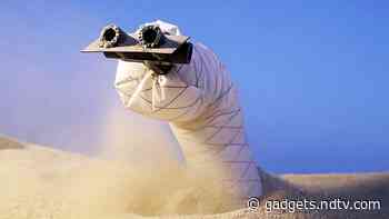 This Snake-Like Robot, Inspired By Plants, Can Burrow Through Sand And Soil
