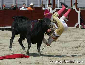 Corridas et cruauté envers les animaux: la SPA à nouveau déboutée à Nîmes