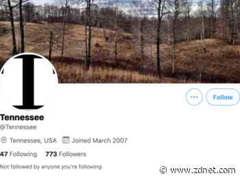 Twitter handle swatter jailed after victim dies following home raid