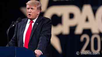 Trump pressures McConnell, GOP to ditch bipartisan talks until they have majority