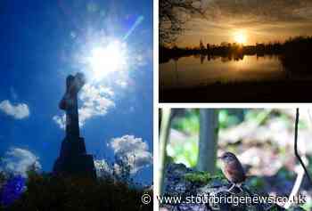 Explore Dudley's nature reserves this summer | Stourbridge News - Stourbridge News