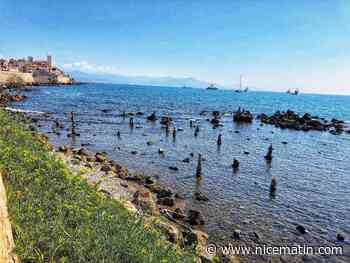 Vous les avez peut-être aperçues, on vous dit tout de ces étranges colonnes de pierres à Antibes