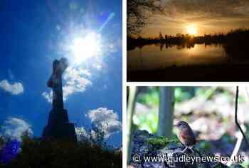 Explore Dudley's nature reserves this summer | Dudley News - Dudley News