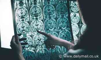 Improving air quality reduces dementia risk, scientists say