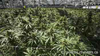 Case involving former CannTrust leaders remanded until Sept. 20