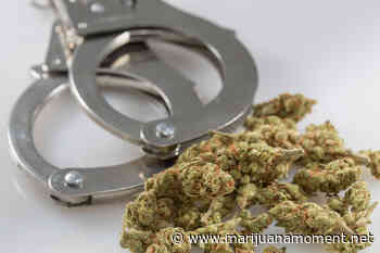 Missouri Probation Officers Send Patients Back To Prison For Using Legal Medical Marijuana - Marijuana Moment