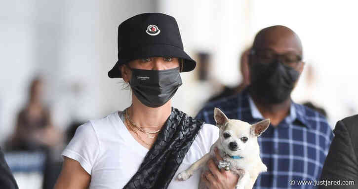 Kaley Cuoco Lands in NYC with Her Dog Dumps