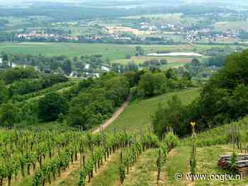 Man uit Groningen gaat door het lint op camping in Luxemburg - Oog TV