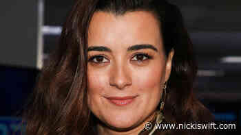 Inside Michael Weatherly And Cote De Pablo's Relationship - Nicki Swift