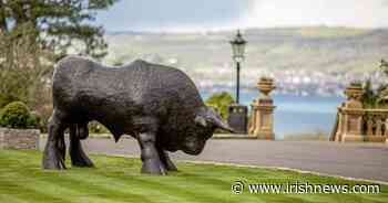 Anne Hailes: The art of Oliver Gormley - The Irish News