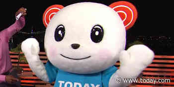 TODAY has a mascot! Vote now to decide what its name will be