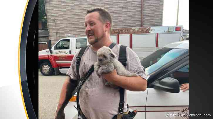 Munhall Firefighters Rescue Puppy Stuck In Vent