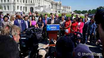 Texas Democrats who fled state to testify at US House subcommittee hearing
