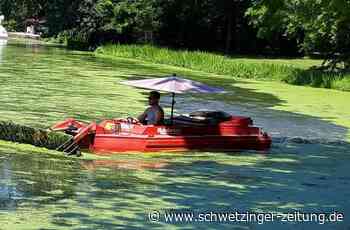 Was sind denn das für Boote im Schlossgarten? - Schwetzingen - Nachrichten und Informationen - Schwetzinger Zeitung