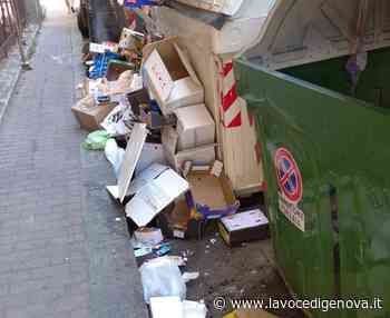 Voltri nella morsa dei rifiuti: cassonetti pieni e maleodoranti - LaVoceDiGenova.it