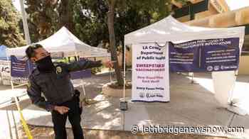 California to require proof of vaccination for state workers - Lethbridge News Now