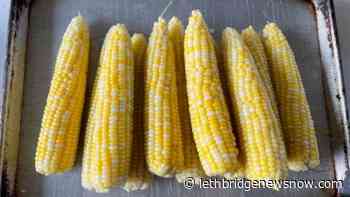 First Taber corn stands now open in Southern Alberta - Lethbridge News Now