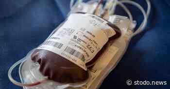 DRK Stockelsdorf bittet um Blutspenden, um die Versorgung für Patienten sicherzustellen - Stodo News