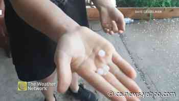 Pea-sized hail falls in Bancroft, ON - Yahoo News Canada
