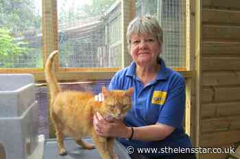 Thrill-seeking pensioners to attempt wing-walk for cats charity - St Helens Star