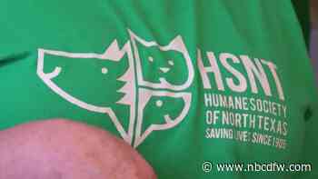 Humane Society Reports No New Distemper Cases in Ten Days
