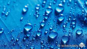 A Bathing Suit That Doesn’t Get Wet?