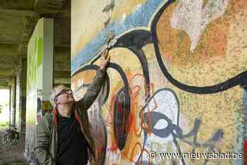 Expert inspecteert brokkelbruggen: “Ze zijn ziek, dan helpt een pleister niet meer”