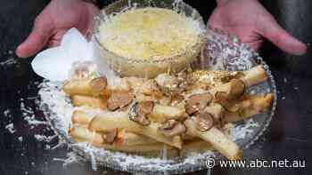 Cooked in champagne and sprinkled in gold, these are the world's most expensive chips