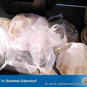 Warnung vor Waffenfunden nach dem Hochwasser - radioeuskirchen.de