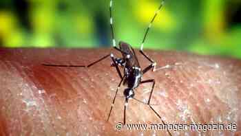 Biontech kämpft gegen Malaria