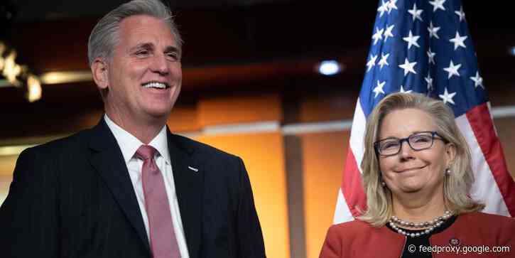 Rep. Liz Cheney says Rep. Kevin McCarthy is 'childish' after he calls her a 'Pelosi Republican'