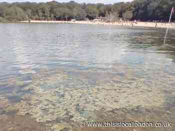 Ruislip Lido fenced off after toxic algae build-up