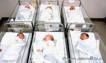 Mammals can dream and can make 'visual sense' of the world before they're born