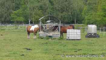 Reiter drängen auf langfristige Perspektive - WESER-KURIER