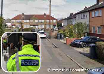 James Gardens Haringey: Met to probe death after knife incident