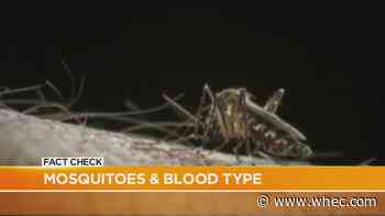Fact Check: Mosquitoes and your blood type