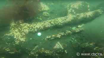 Surprise find in Halifax harbour anchors diver's theory on 1917 explosion