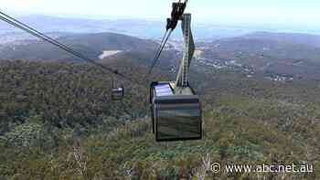 'Too large, too much': Hobart City Council says no to cable car bid for kunanyi/Mount Wellington