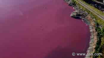 See disaster-stricken lagoon turned pink