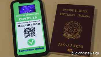 The Travel Lady: How to navigate proof of vaccine requirements while traveling