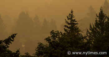 Finding the ‘Believers’ Who Will Remake a Damaged Earth