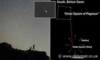 Astronomy: Delta Aquariids meteor shower will peak on Wednesday