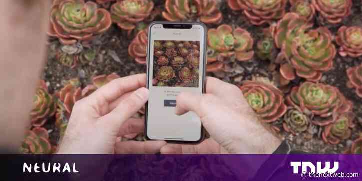 This free AR app helped me remember who my plants are