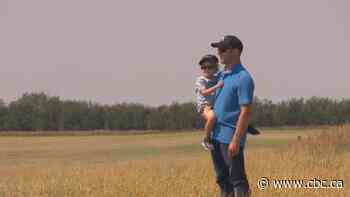 Dry conditions in Saskatchewan have been baking fields this summer. Many farmers are stressed