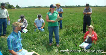 Improve pasture management with good paddock design