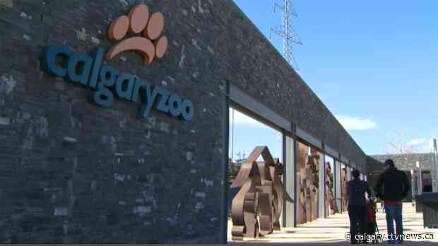 $200K donation will help keep Calgary Zoo workers and animals safer