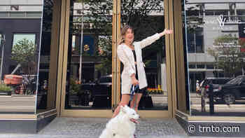 6 unique boutiques and pop-ups happening in Toronto this summer - Post City